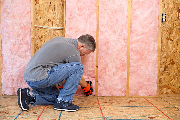 Best Crawl Space Insulation  in USA